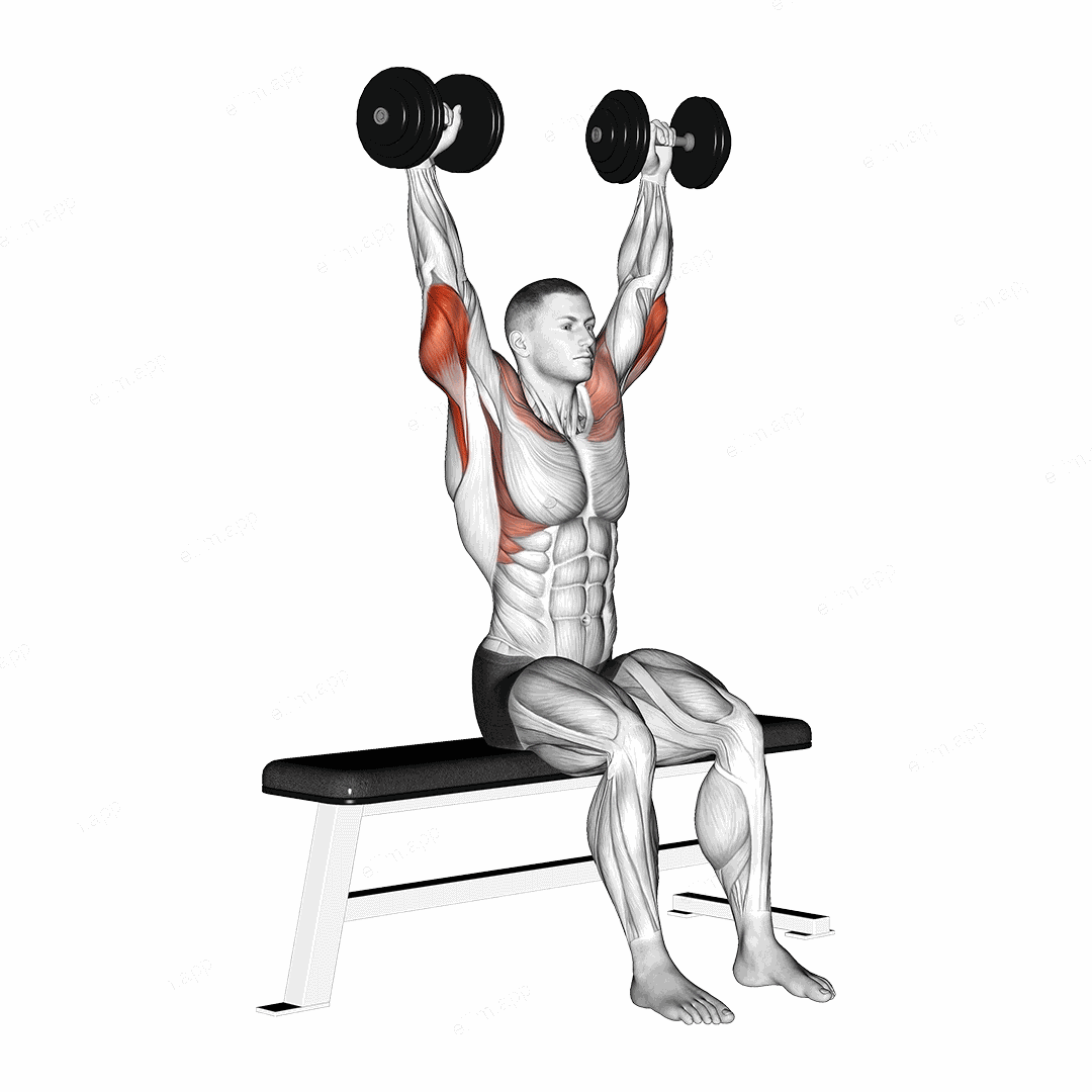 Dumbbell Seated Front and Back Tate Press exercise targeting Upper Arms and Triceps Brachii