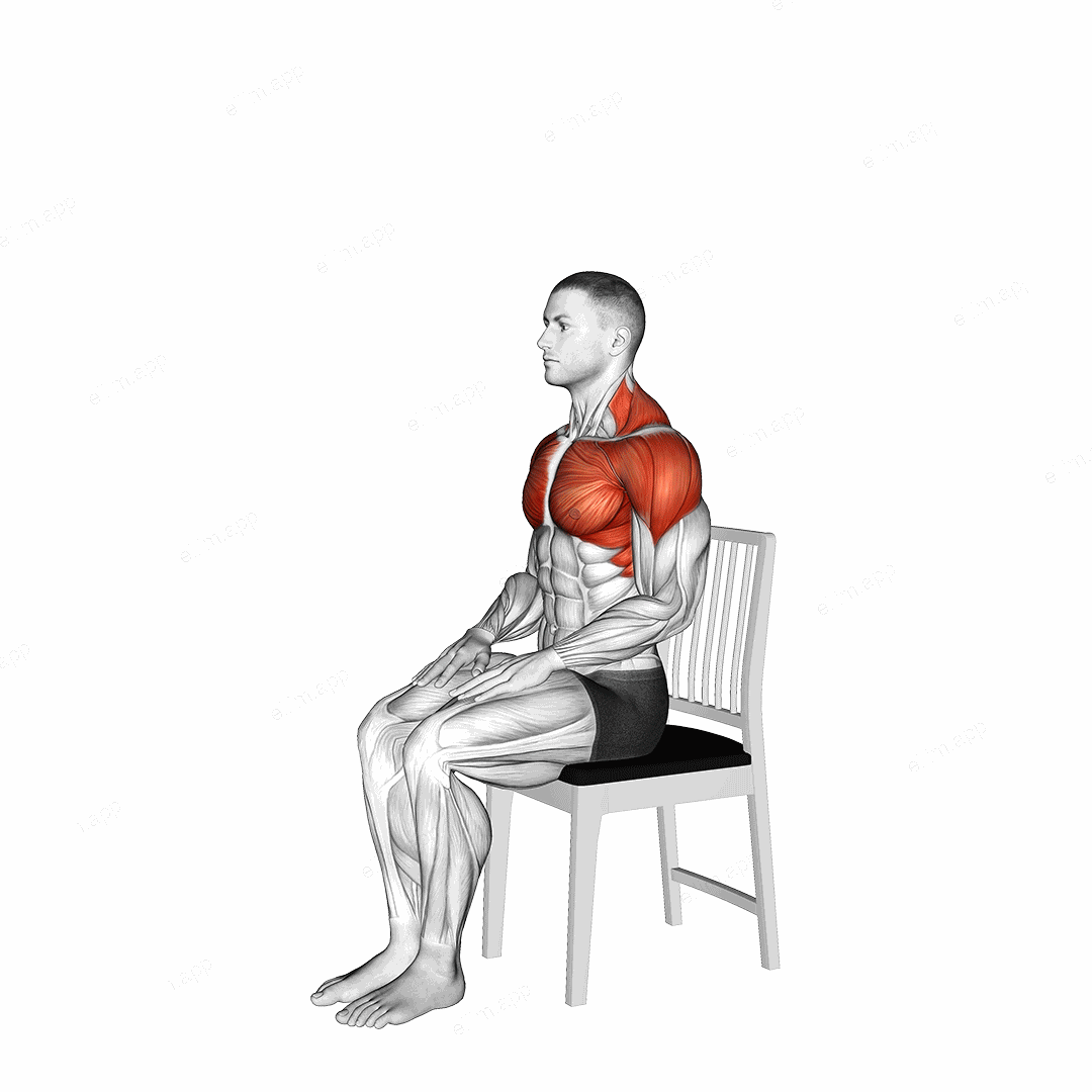 Seated Overhead Stretch on a Chair exercise targeting Stretching