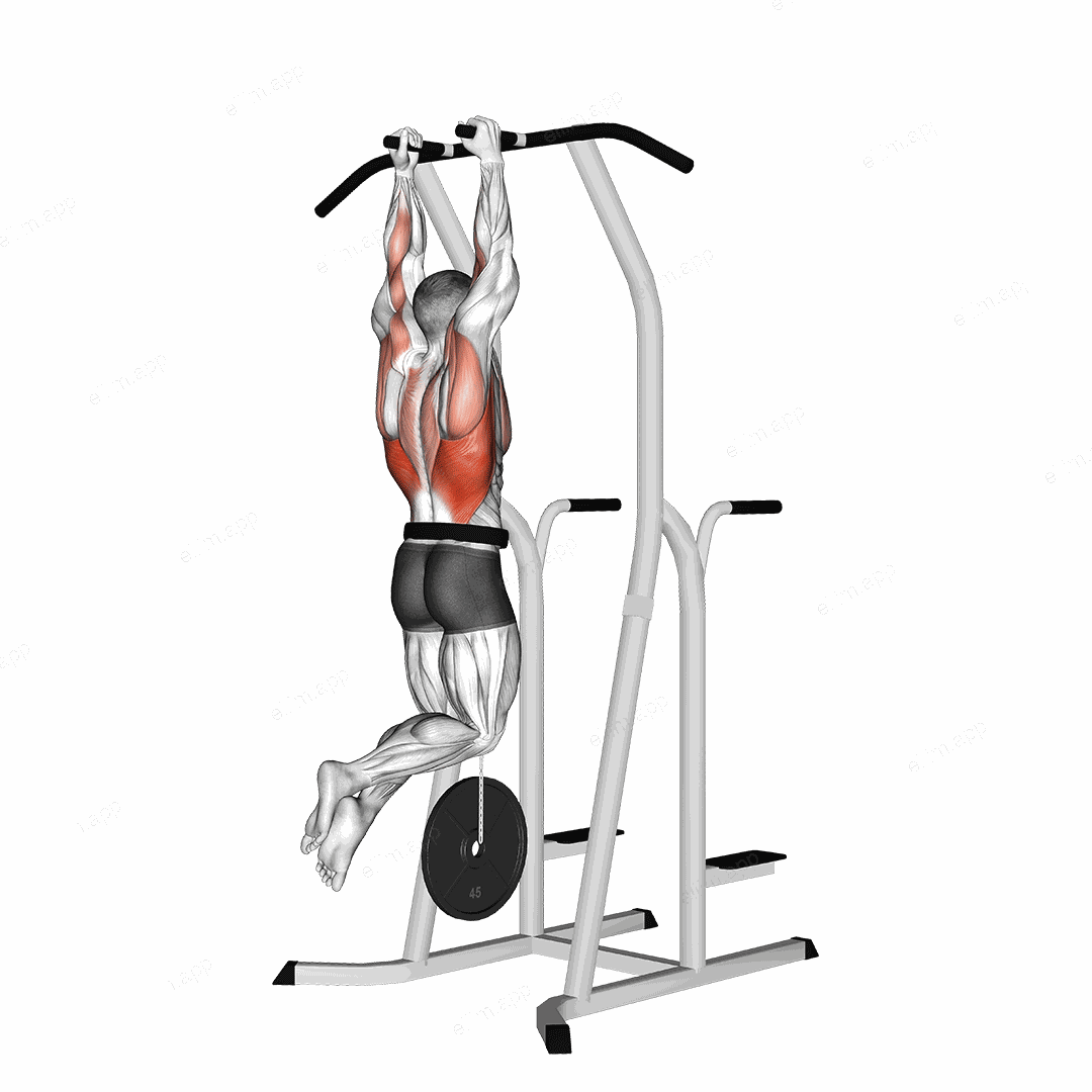 Weighted Hammer Grip Pull up on Dip Cage exercise targeting Back