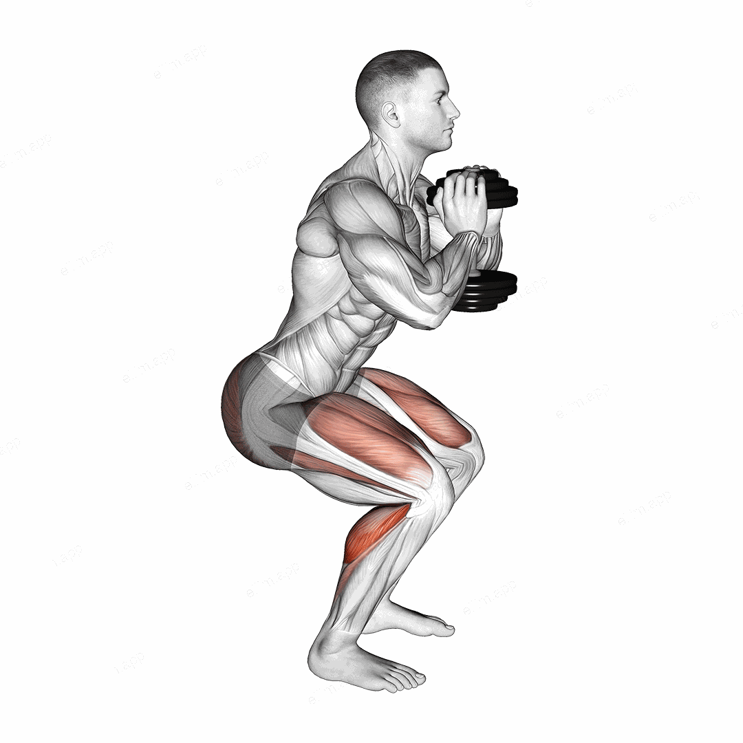 Dumbbell Squat Hold Calf Raise exercise targeting Calves and Hips