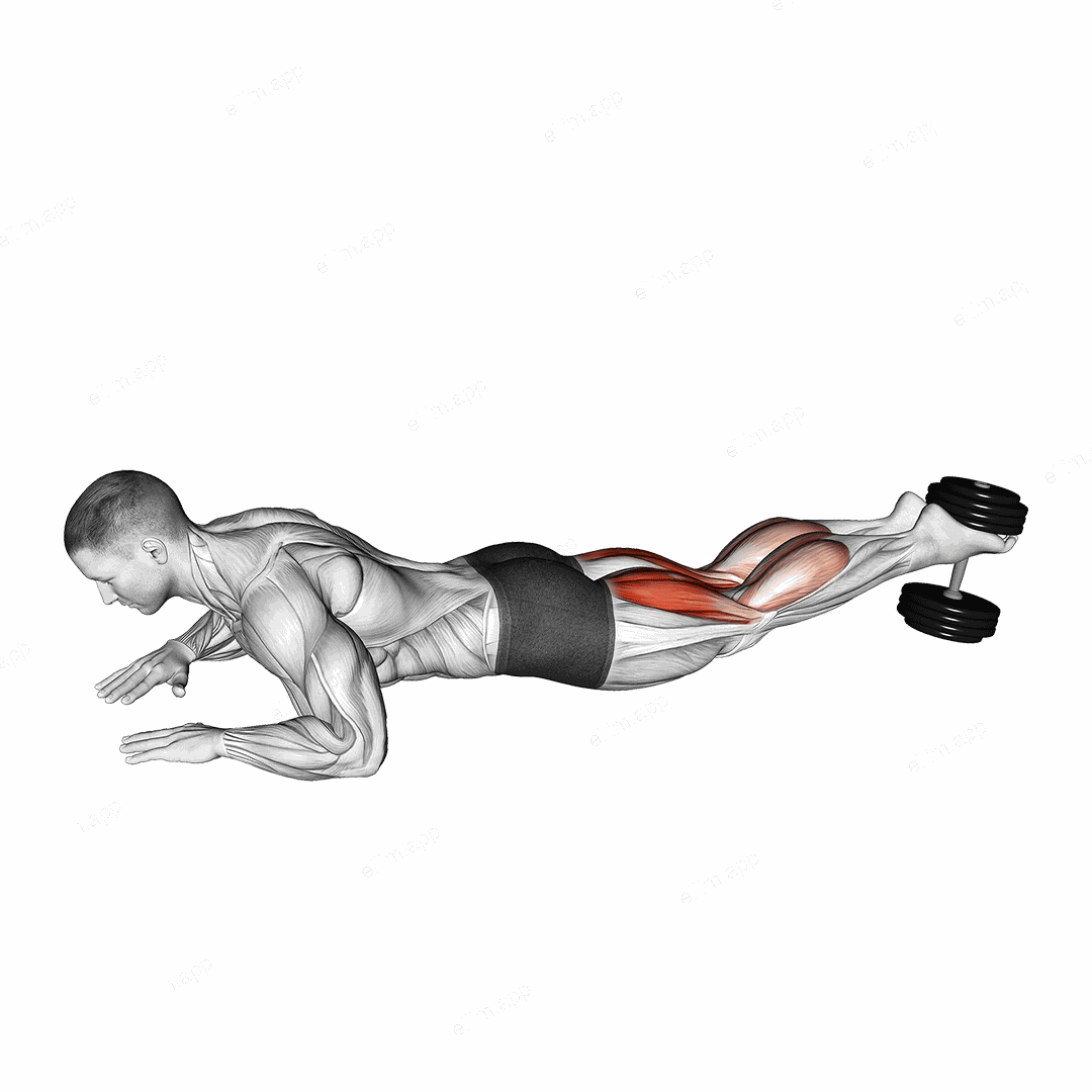 Dumbbell Lying Hamstring Curl exercise targeting Thighs and Hamstrings