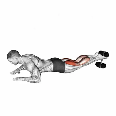 Dumbbell Lying Hamstring Curl exercise targeting Thighs and Hamstrings
