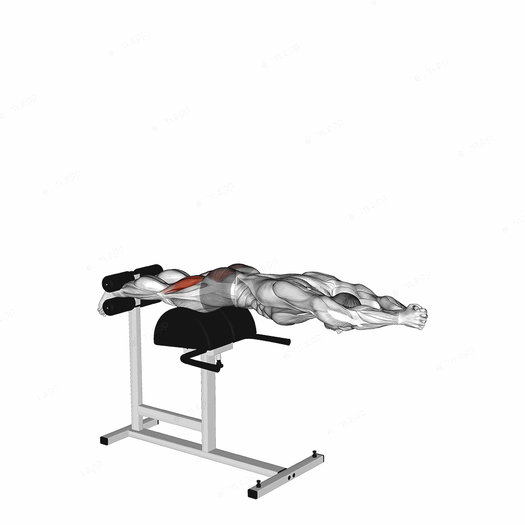 Glute Ham Raise with Extended Arms exercise targeting Thighs