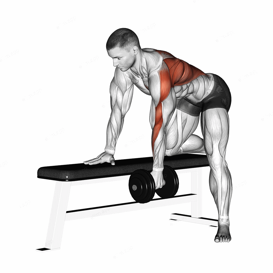 Dumbbell Bent over Row exercise targeting Back