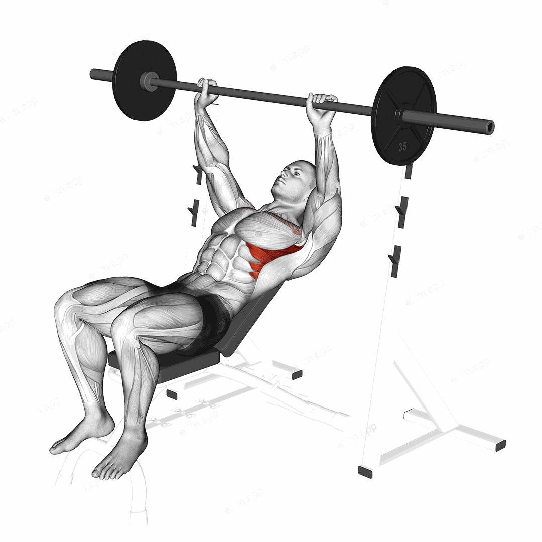 Barbell Incline Shoulder Raise exercise targeting Chest and Serratus Anterior