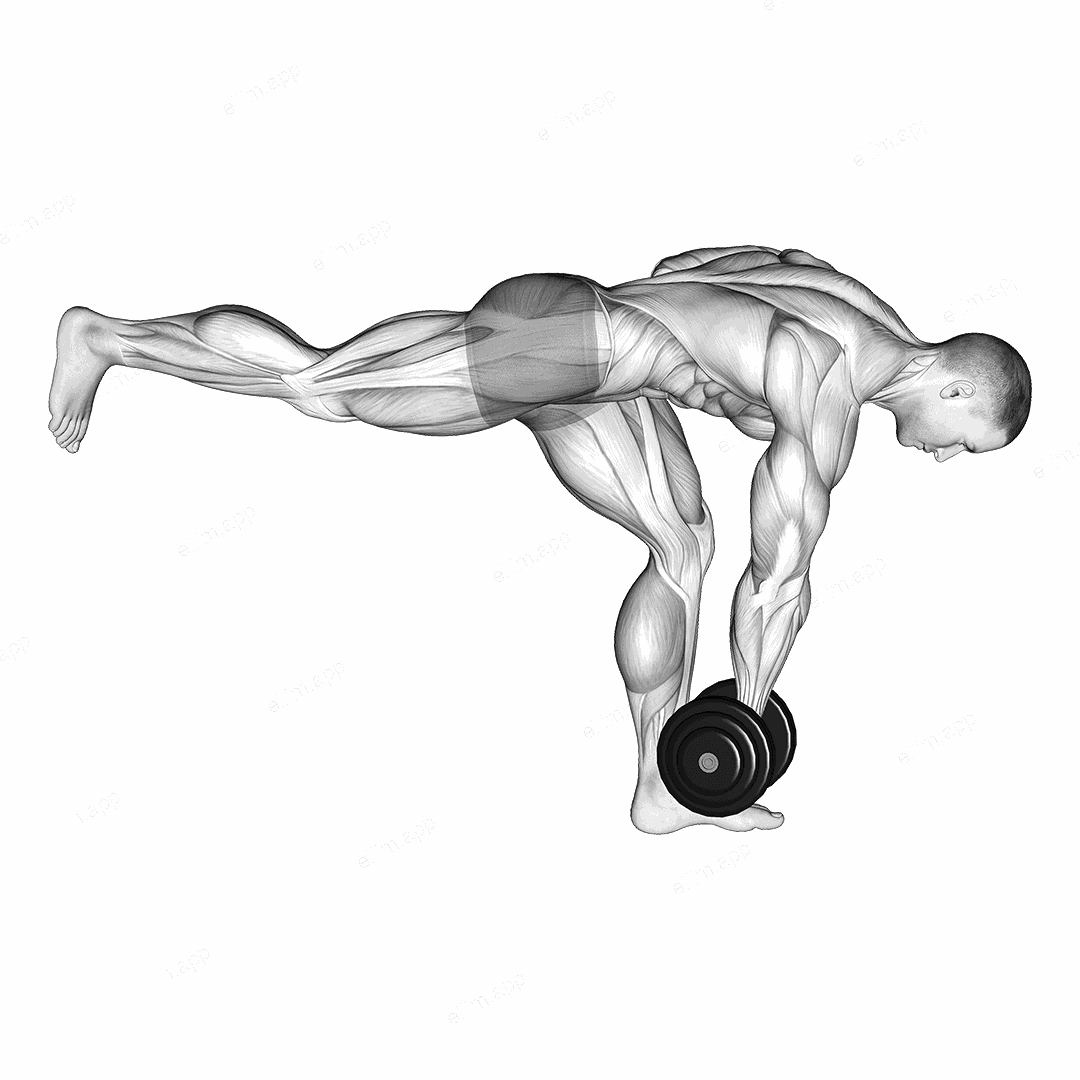Dumbbell RDL Stretch exercise targeting Hips
