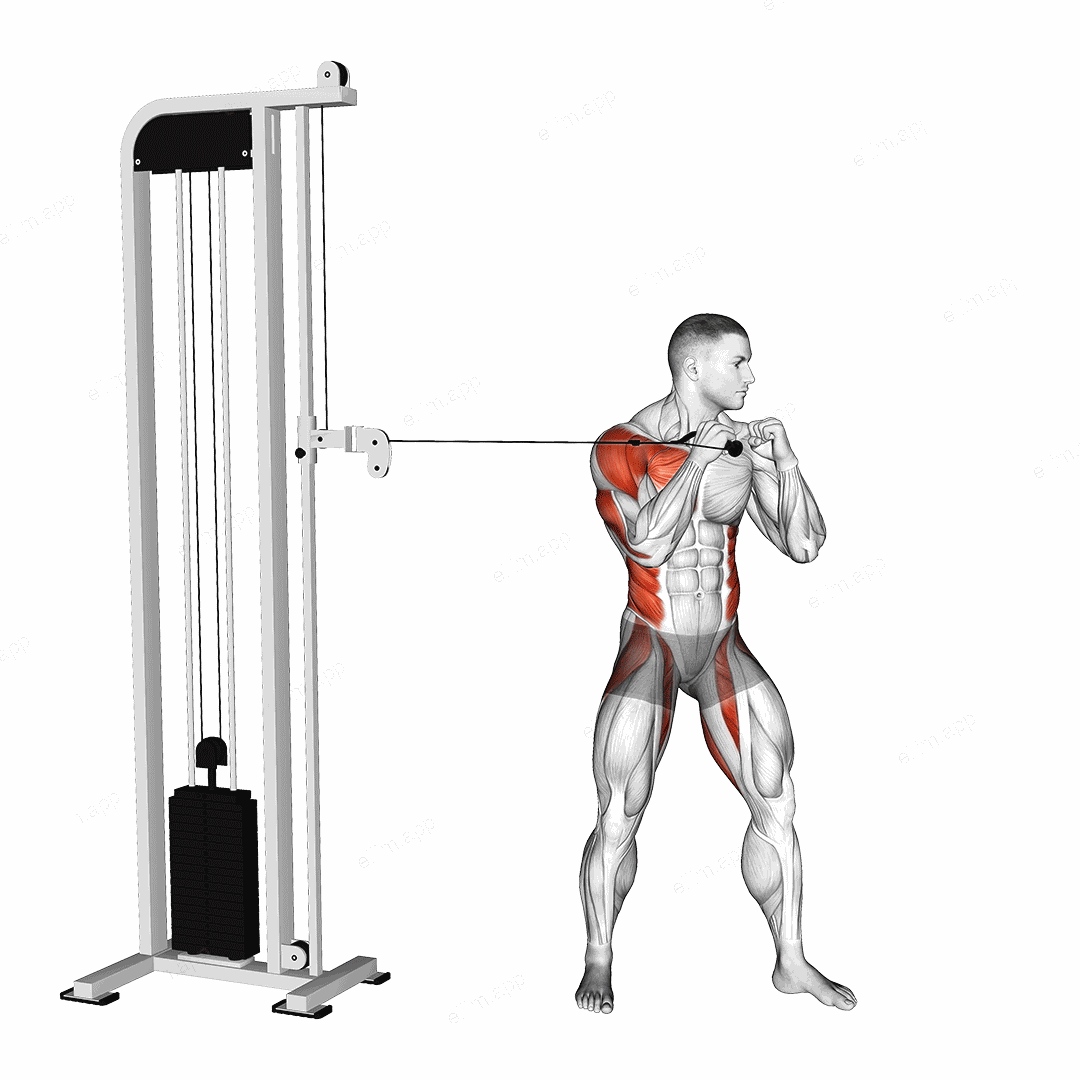 Cable Standing Jab exercise targeting Plyometrics