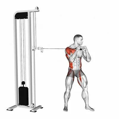 Cable Standing Jab exercise targeting Plyometrics