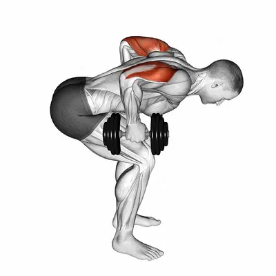 Dumbbell Standing Bent Over Two Arm Triceps Extension exercise targeting Upper Arms