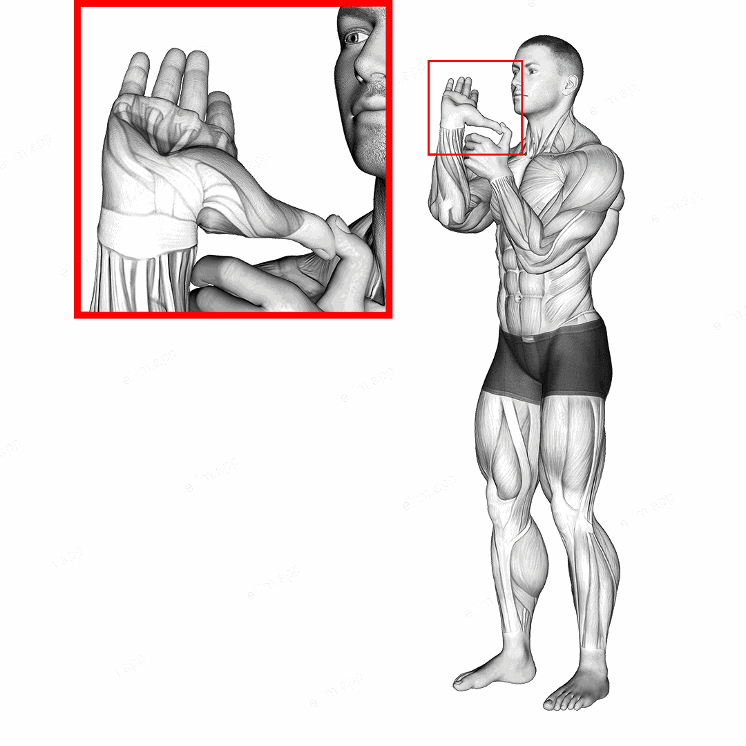 Thumb Stretch exercise targeting Forearms
