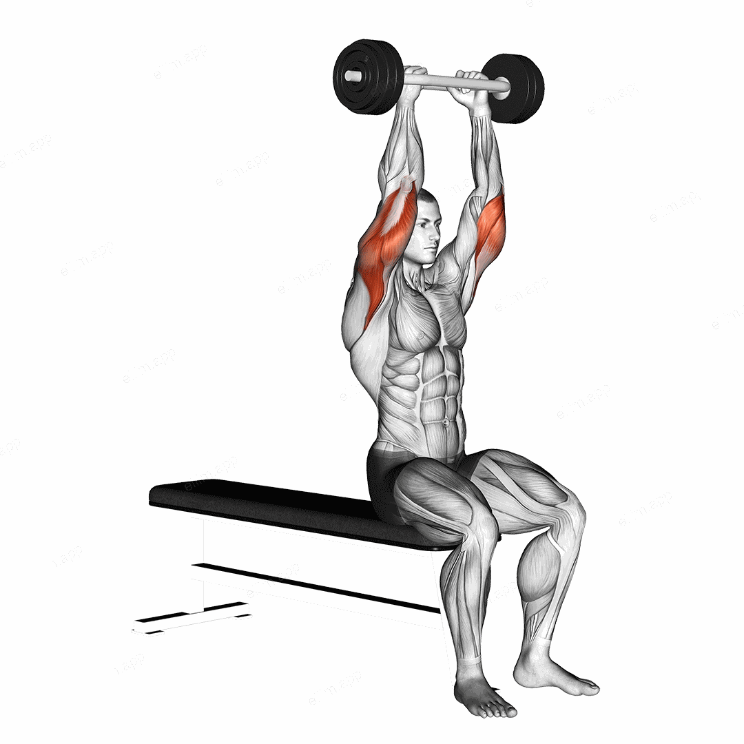 Olympic Barbell Triceps Extension exercise targeting Upper Arms and Triceps Brachii