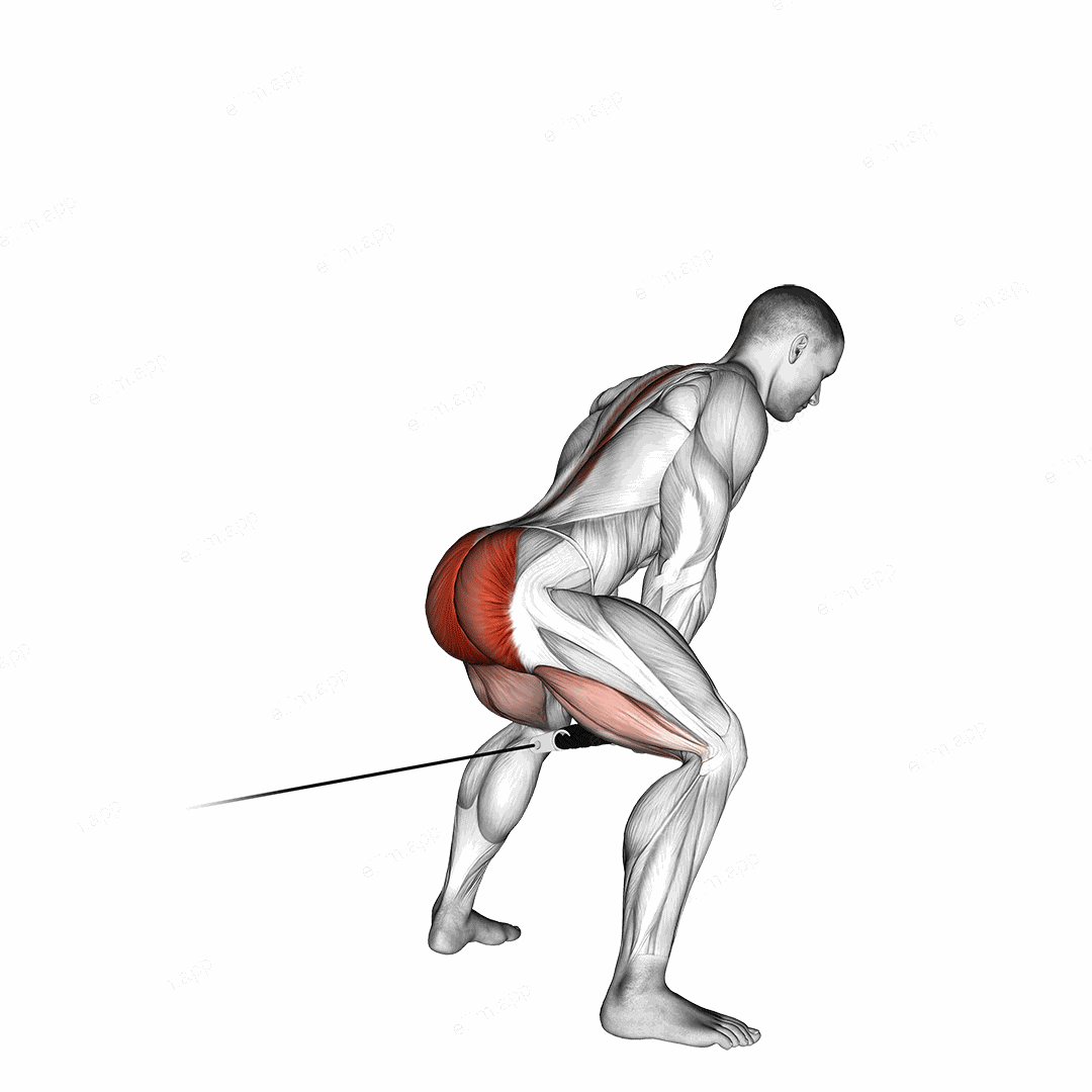 Cable Pull Through (with rope) exercise targeting Hips and Gluteus Maximus