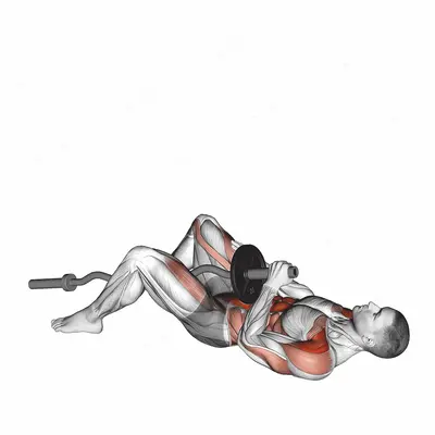 EZ-Bar Shoulder Press Sit-up exercise targeting Waist and Deltoid Anterior