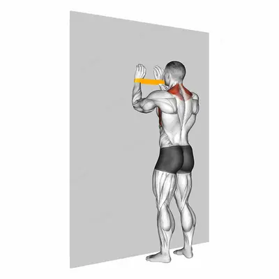 Resistance Band Spider Crawls exercise targeting Back