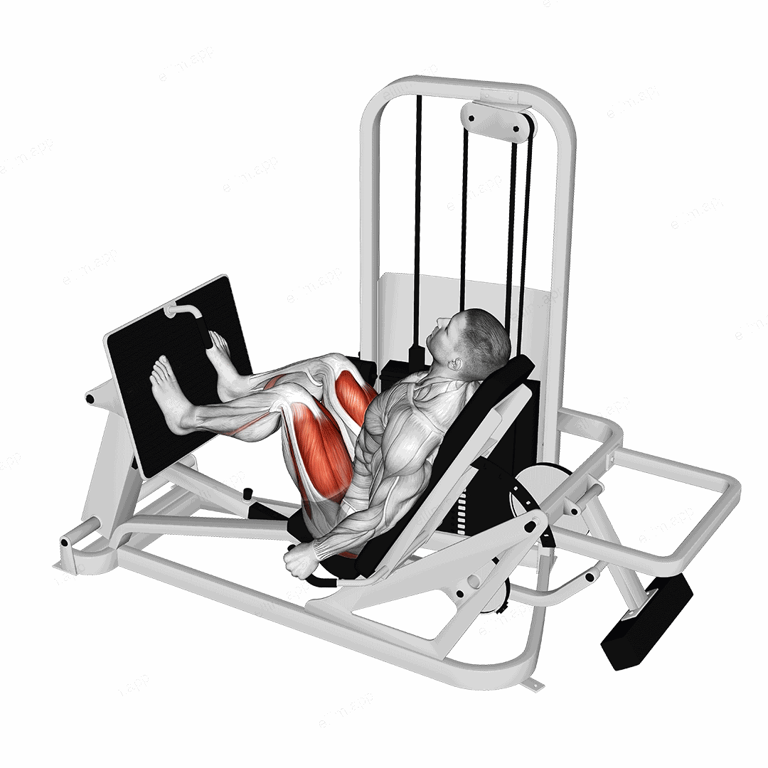 Lever Seated Leg Press exercise targeting Gluteus Maximus and Quadriceps