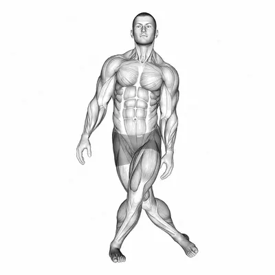 Standing Leg Cross Abductor Stretch exercise targeting Hips