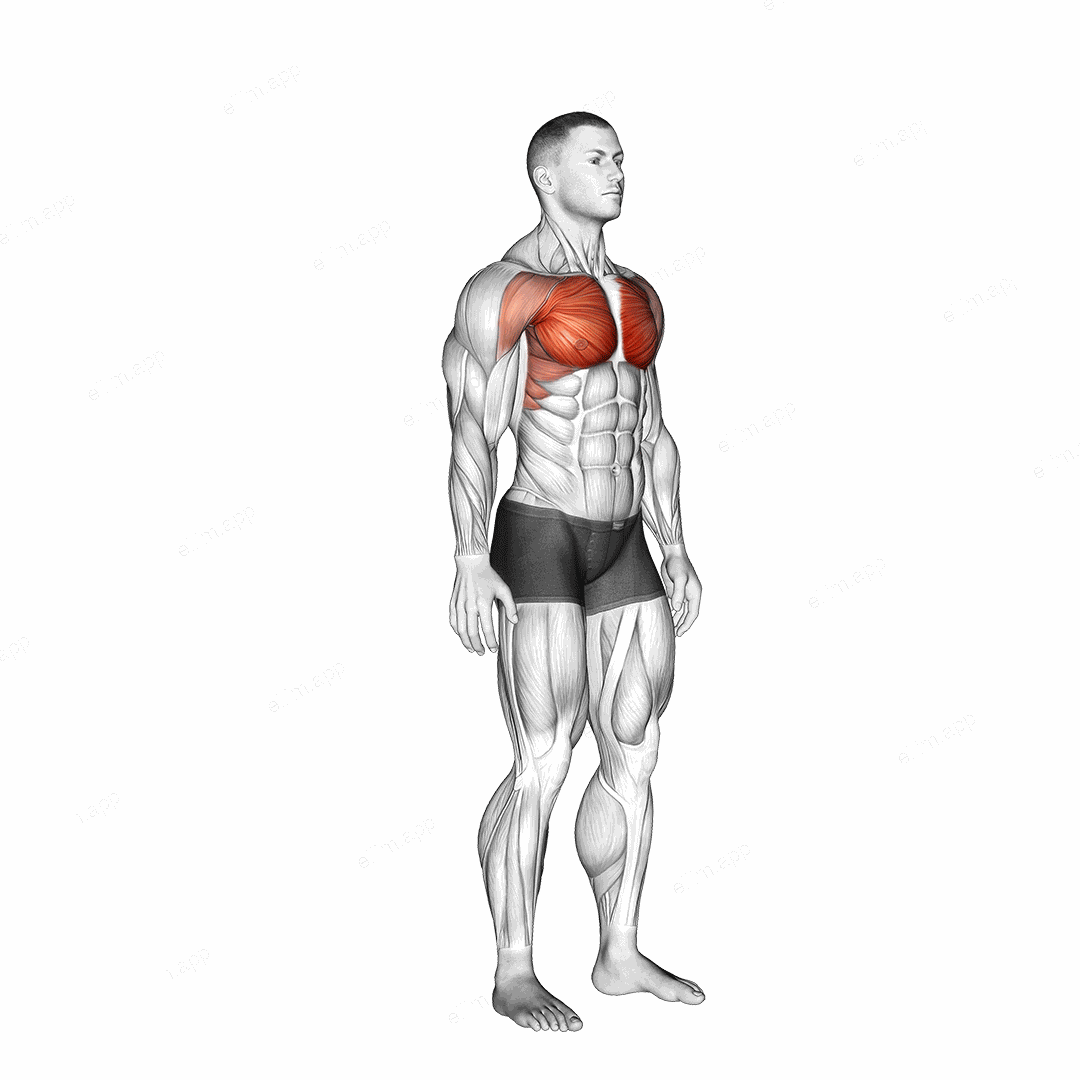 Above Head Chest Stretch exercise targeting Chest and Pectoralis Major Clavicular Head