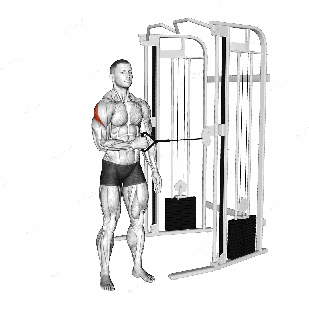 Cable Standing Shoulder External Rotation exercise targeting Back and Teres Major