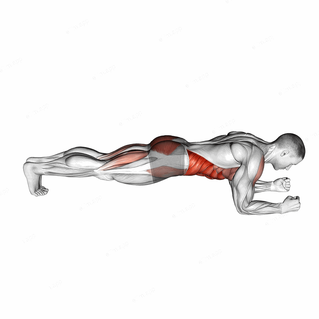 Front Plank with Leg Lift exercise targeting Gluteus Maximus and Rectus Abdominis