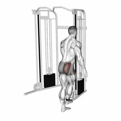 Cable Medius Kickback exercise targeting Hips