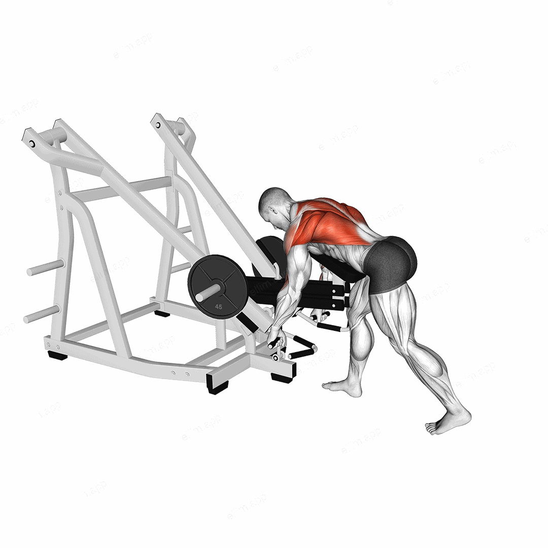 Lever Bent Over Row (with chest support) exercise targeting Back