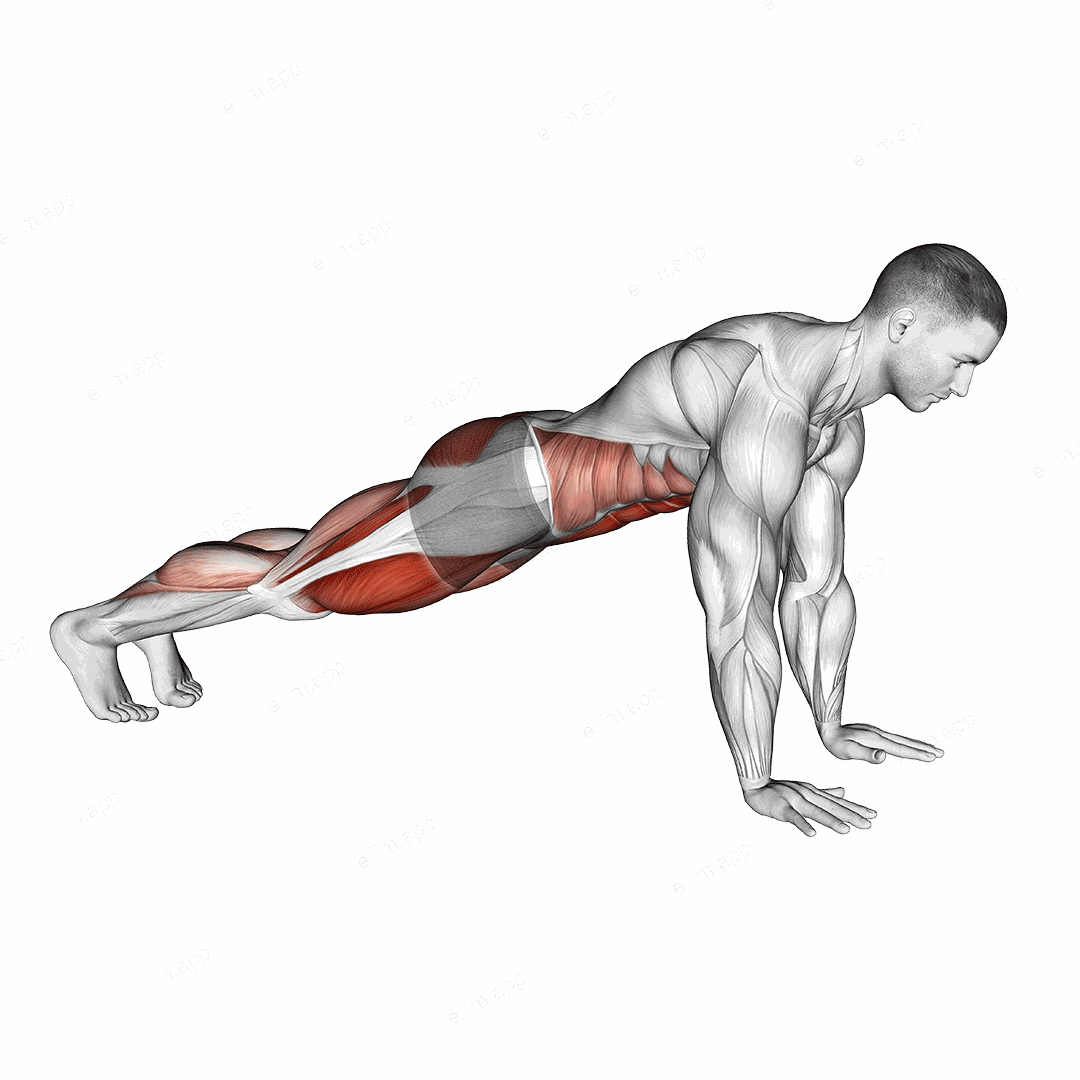 Squat Thrust exercise targeting Plyometrics