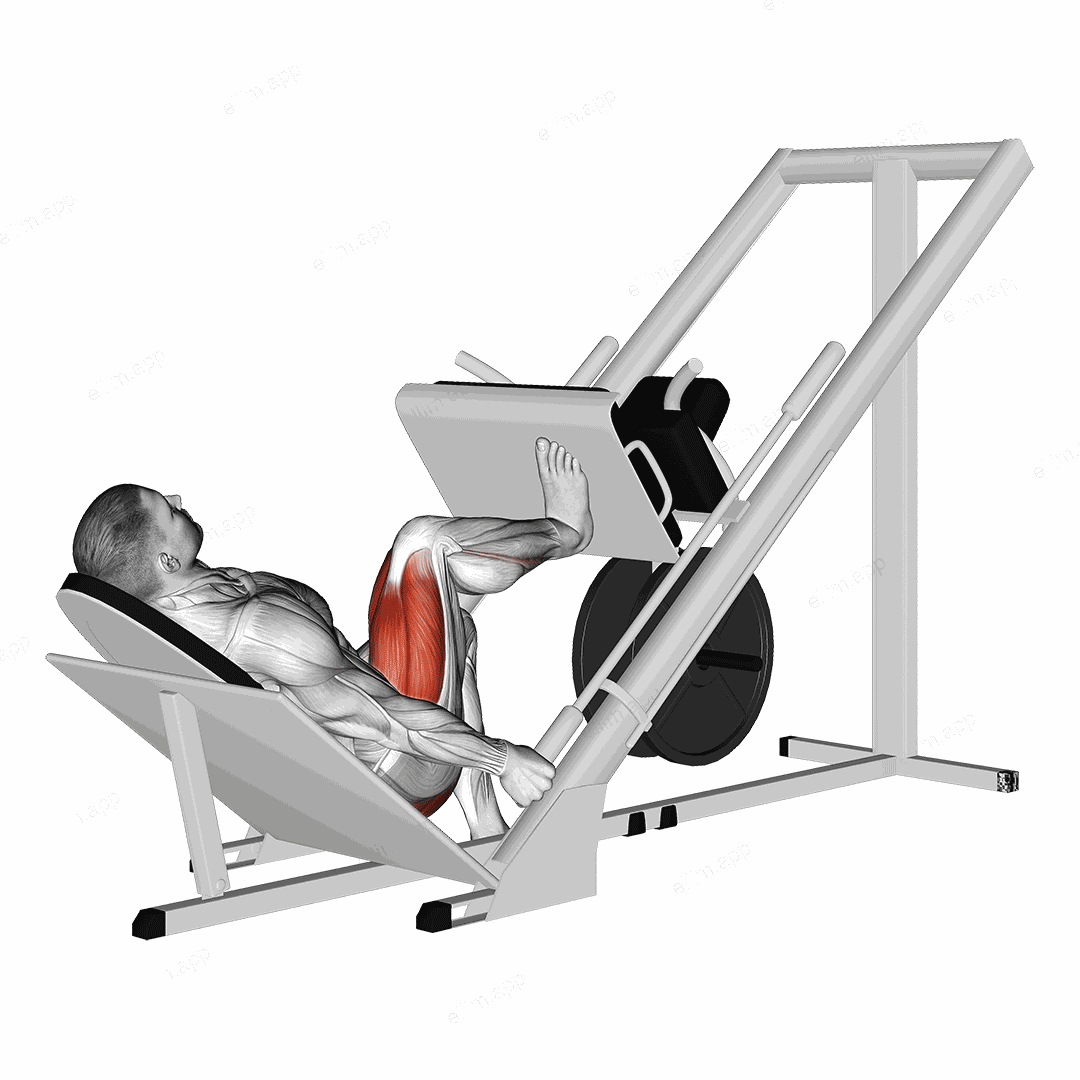 Sled 45 degrees One Leg Press exercise targeting Hips and Gluteus Maximus