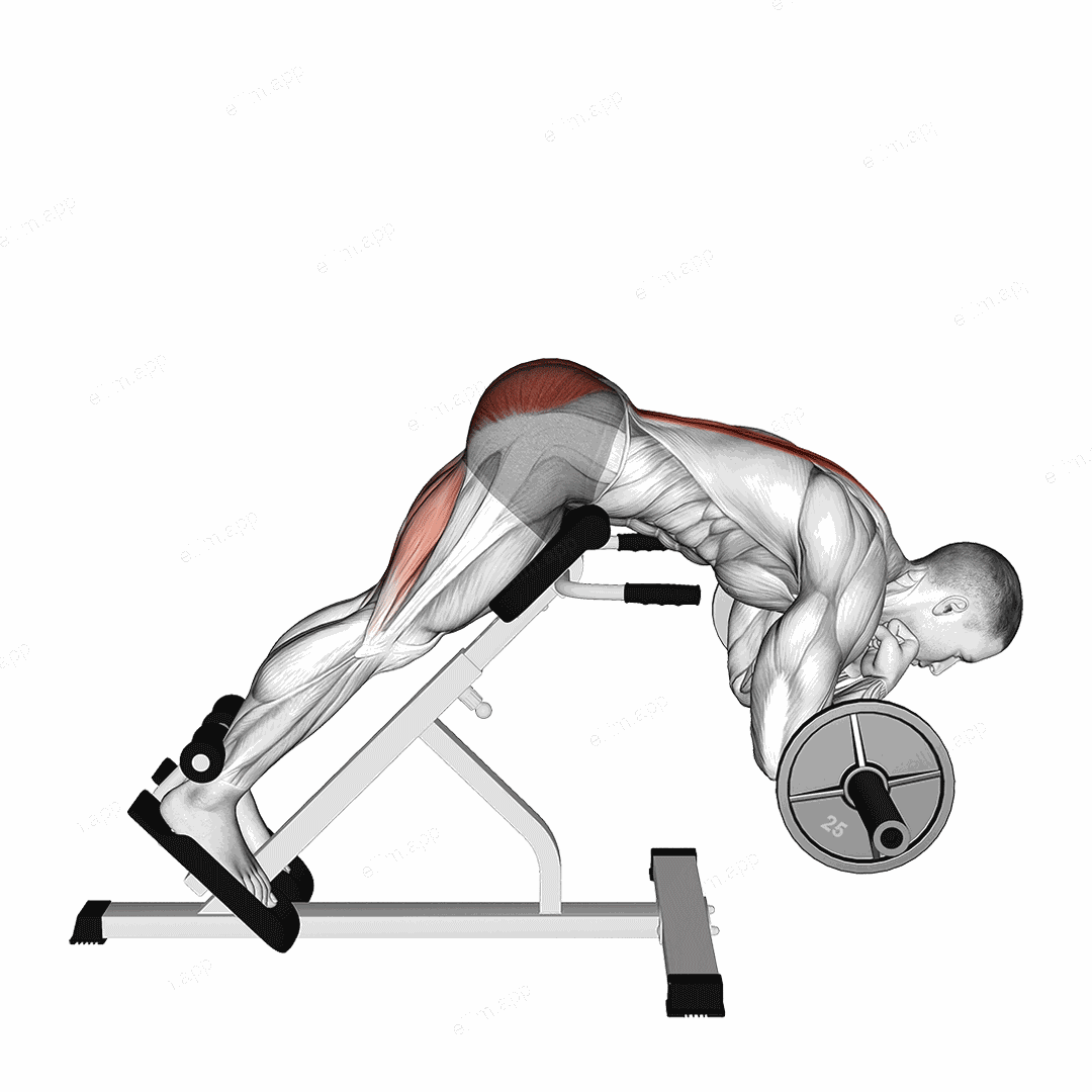Barbell Zercher Back Extension exercise targeting Hips