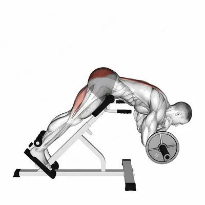 Barbell Zercher Back Extension exercise targeting Hips