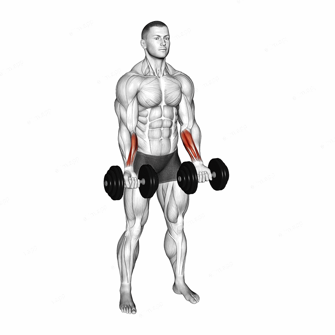 Dumbbell Standing Wrist Curl exercise targeting Forearms