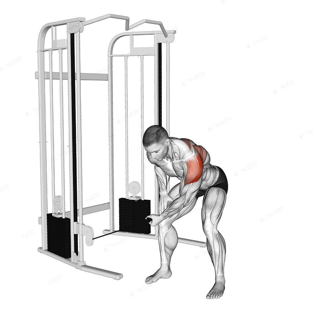 Cable Bent Over One Arm Lateral Raise exercise targeting Shoulders