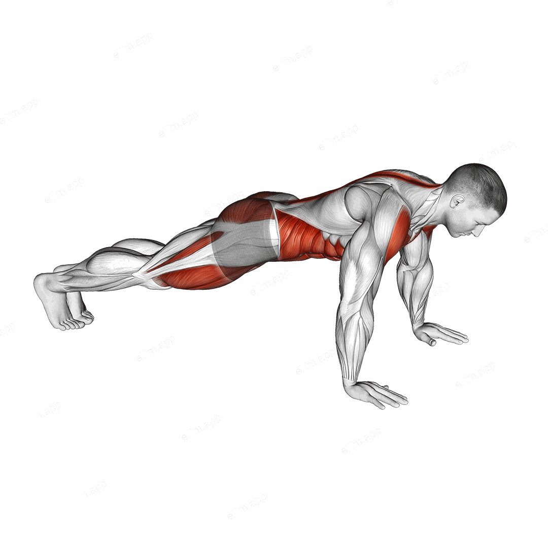 Front Plank to Toe Tap exercise targeting Hips