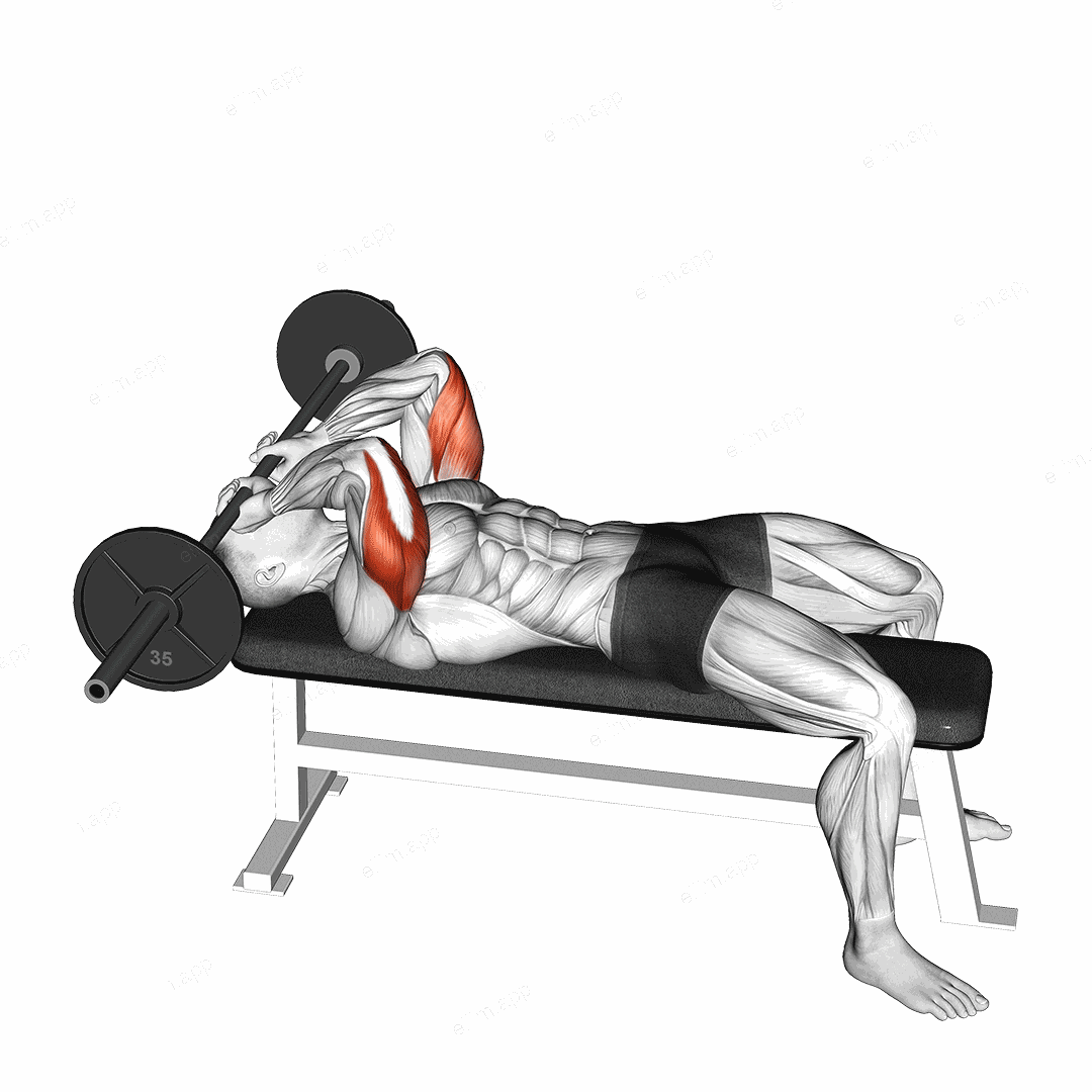 Barbell Lying Triceps Extension Skull Crusher exercise targeting Upper Arms and Triceps Brachii