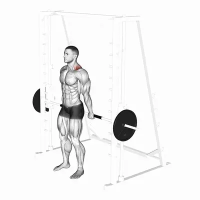 Smith Back Shrug exercise targeting Back and Trapezius Upper Fibers