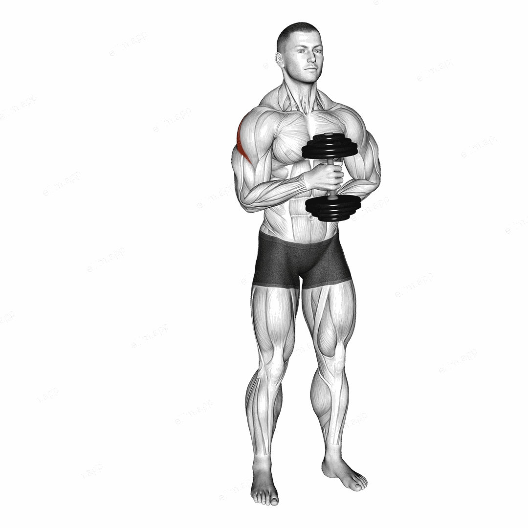 Dumbbell External Rotation exercise targeting Back and Teres Major