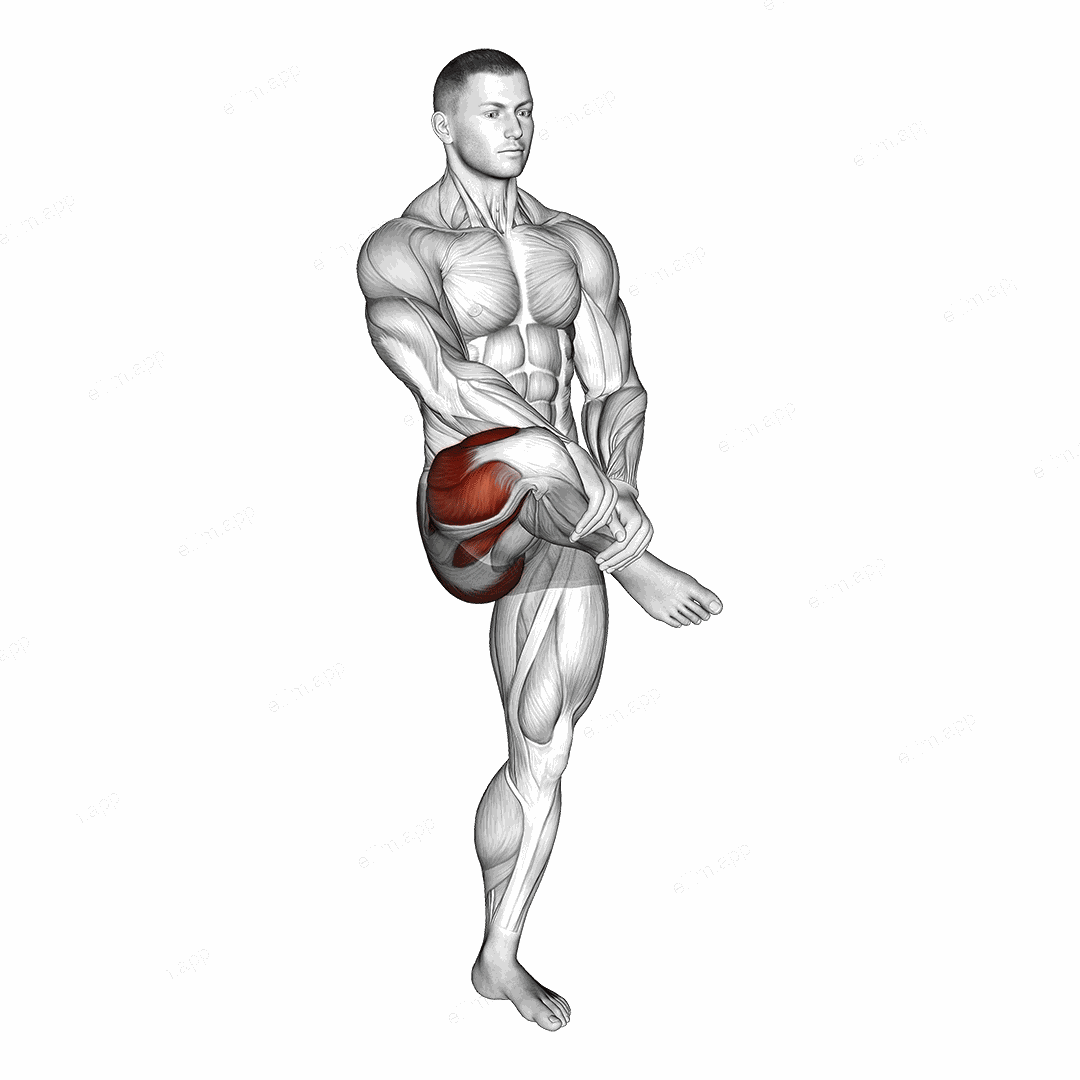 Standing Balance Outer Hip Stretch exercise targeting Hips and Thighs