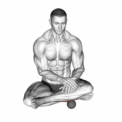 Roll Ball Peroneus exercise targeting Calves