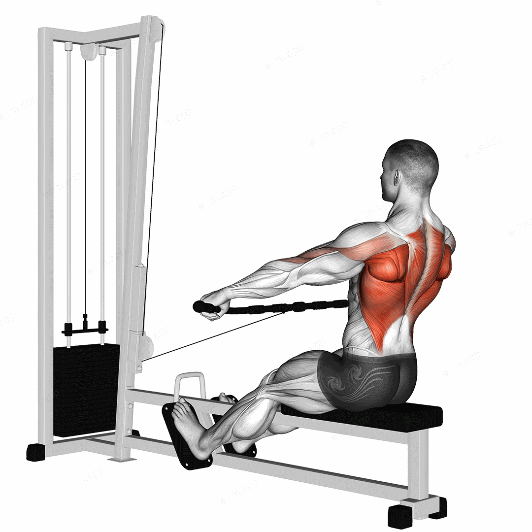 Cable Seated Wide grip Row exercise targeting Back