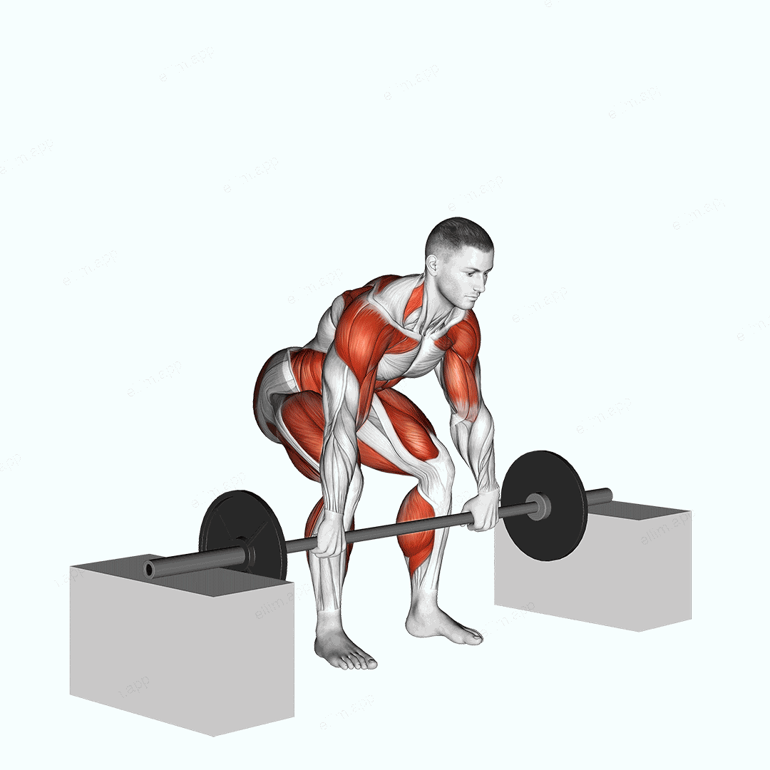Barbell Clean From Blocks exercise targeting Weightlifting