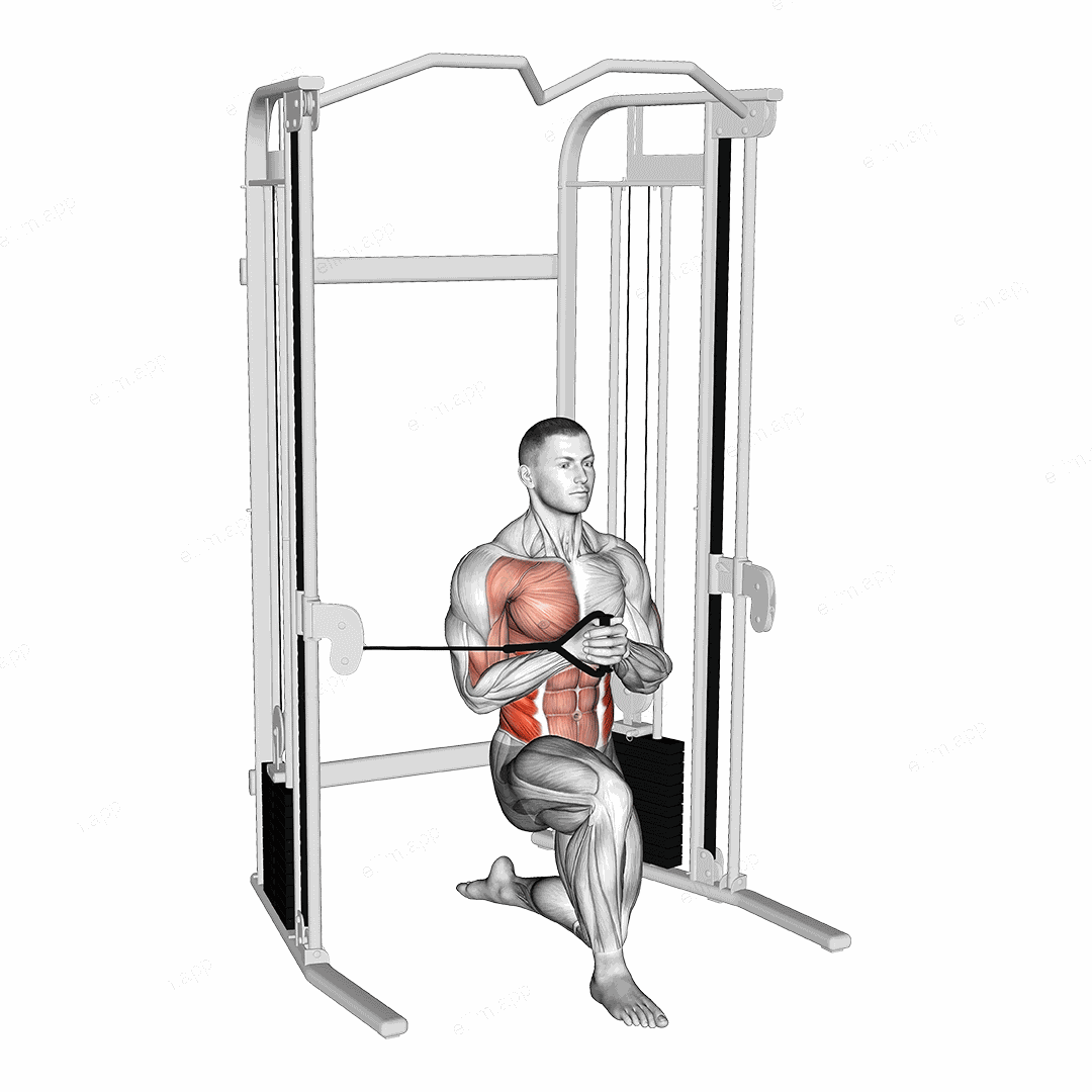 Cable Half Kneeling Pallof Press exercise targeting Waist