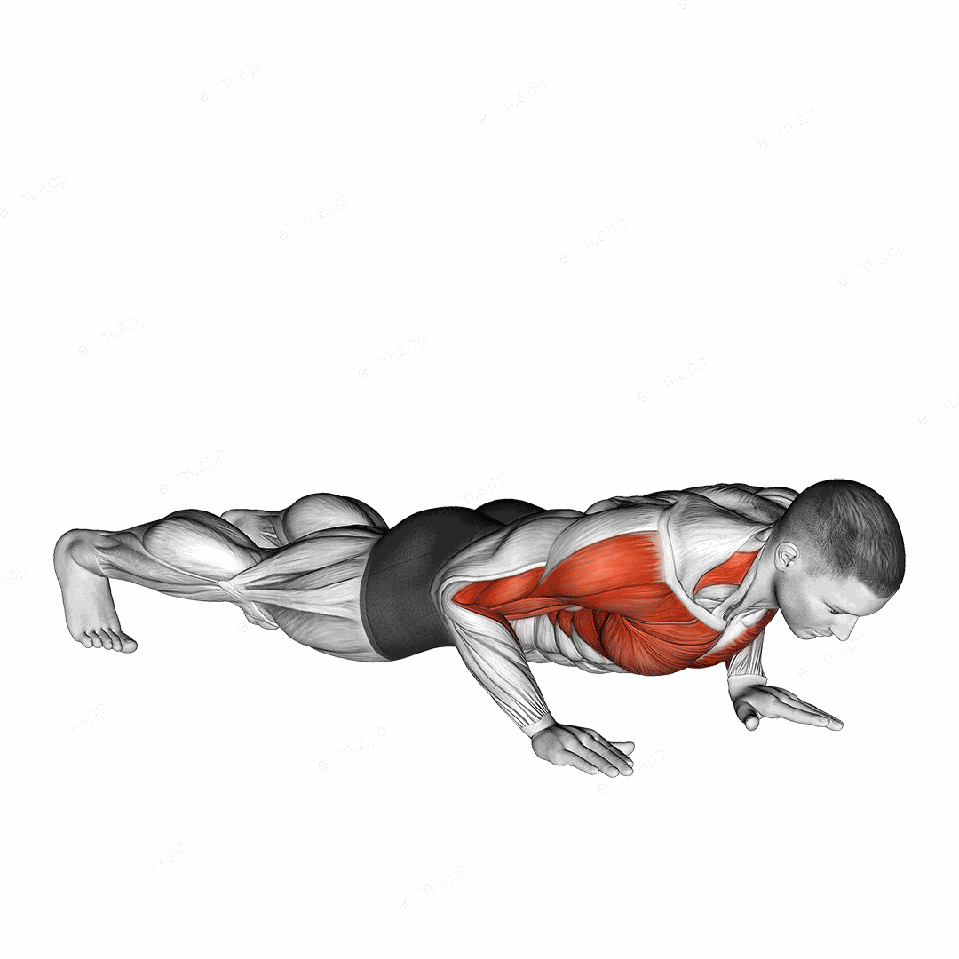 Clap Push Up exercise targeting Plyometrics