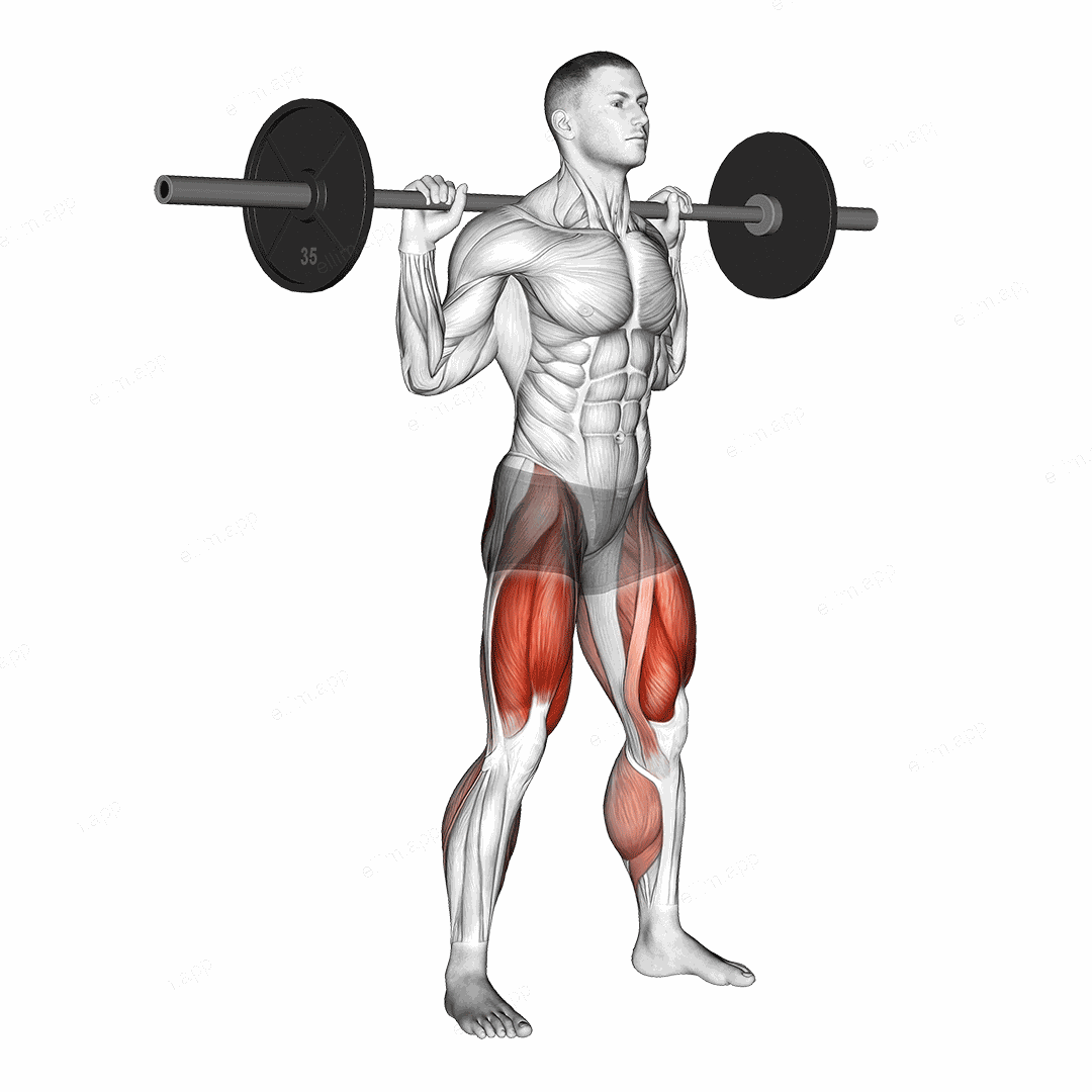 Barbell Squat exercise targeting Thighs