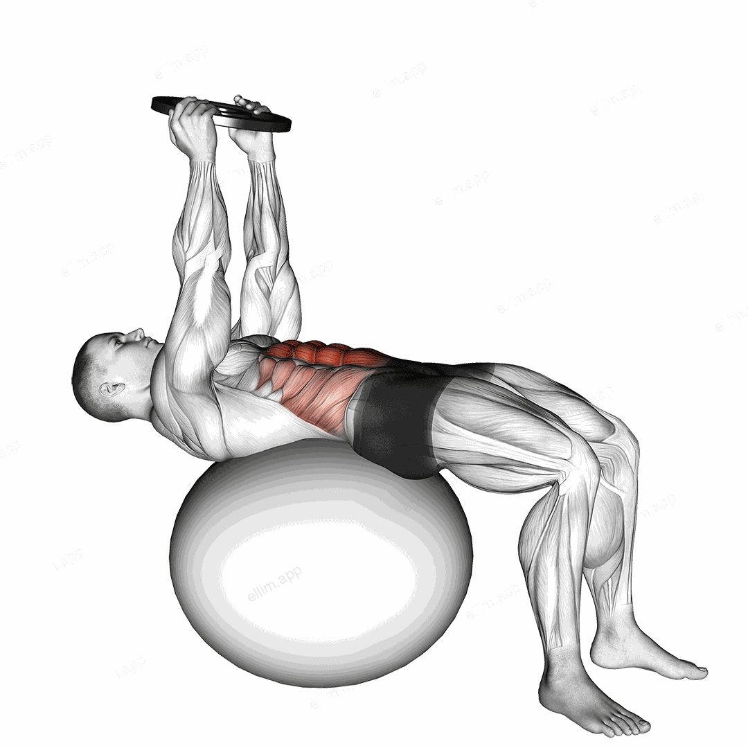 Weighted Overhead Crunch (on stability ball) exercise targeting Waist and Rectus Abdominis