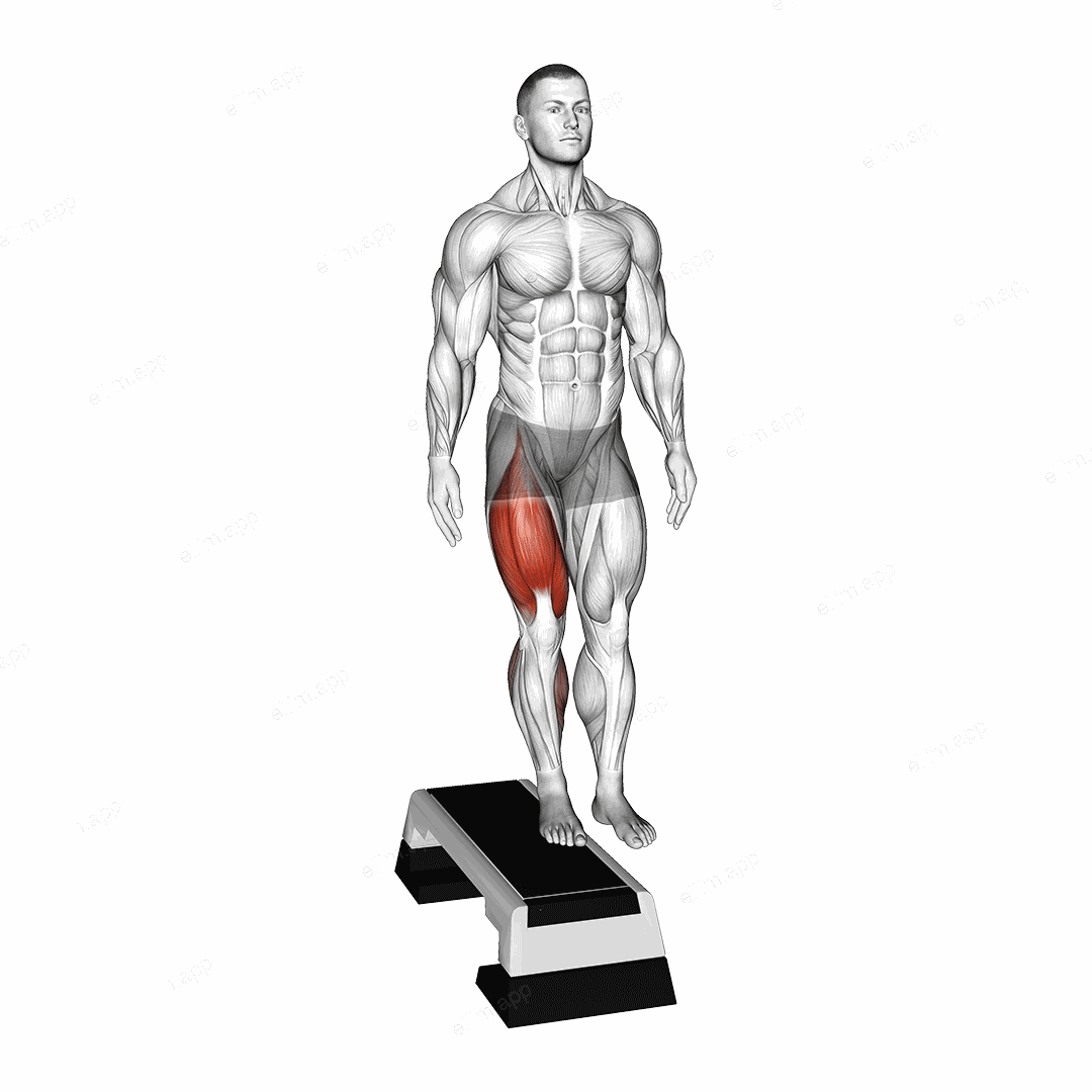 Lateral Step-up exercise targeting Thighs and Gluteus Maximus