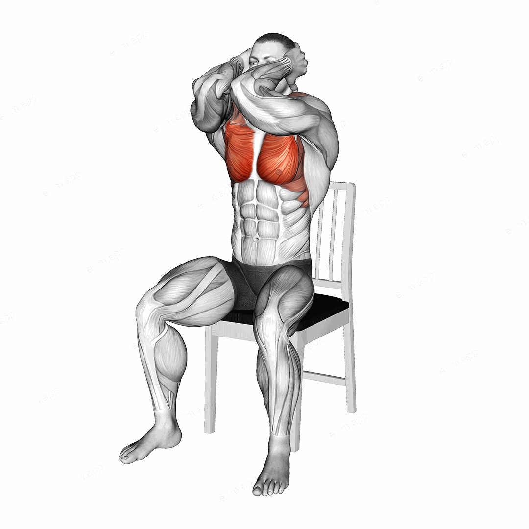 Seated Elbow Chest Fly on a Chair exercise targeting Chest