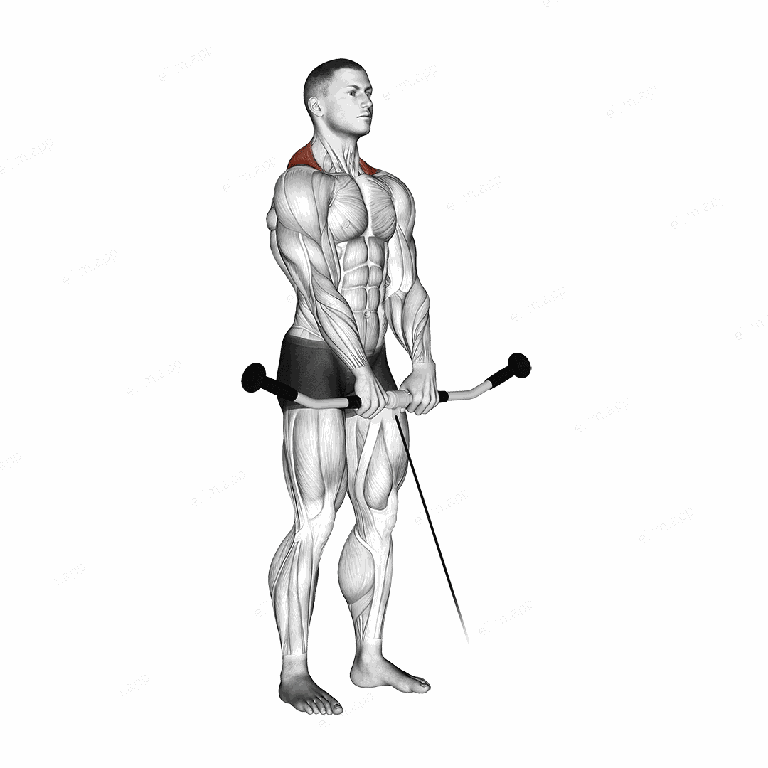Cable Shrug exercise targeting Back and Trapezius Upper Fibers
