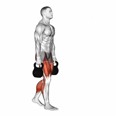Kettlebell Farmers Carry exercise targeting Gluteus Maximus and Quadriceps
