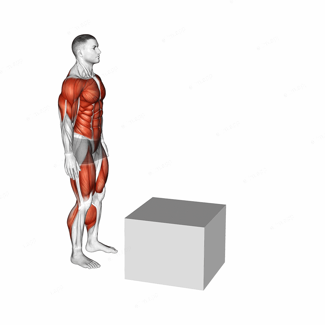 2 to 1 Jump Box exercise targeting Plyometrics
