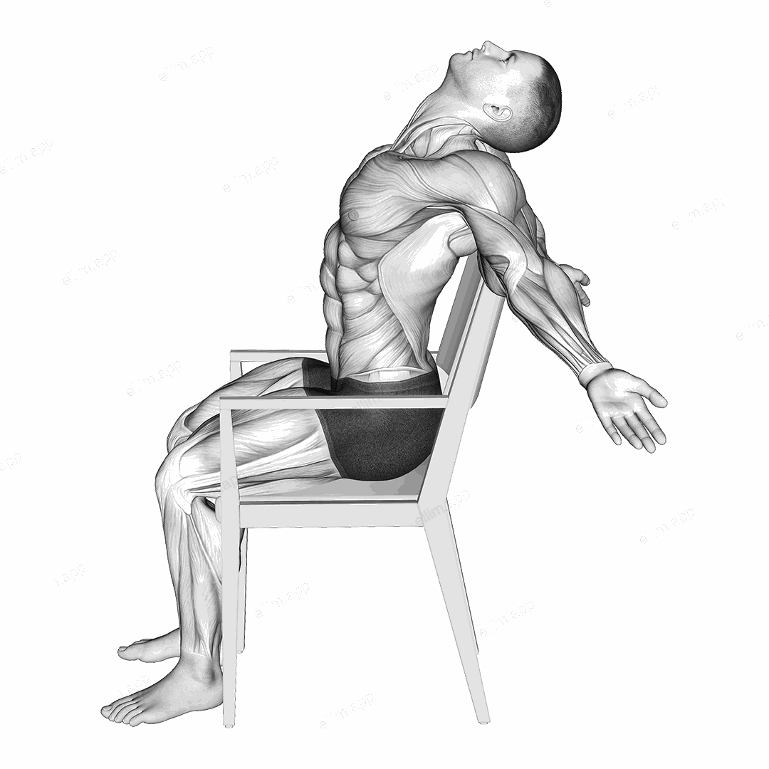 Static Position Seated Back exercise targeting 