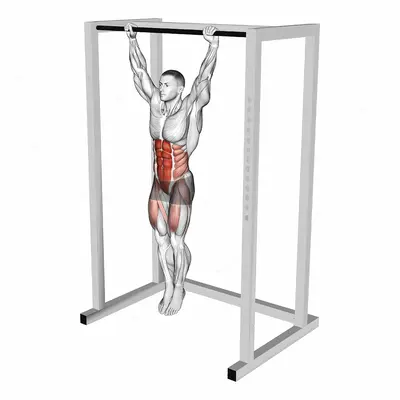 Hanging Toes to Bar exercise targeting Waist and Iliopsoas